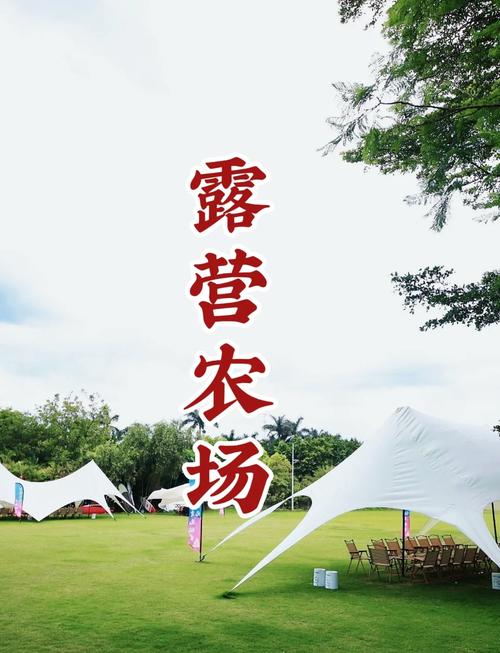 秘境农场赚钱版