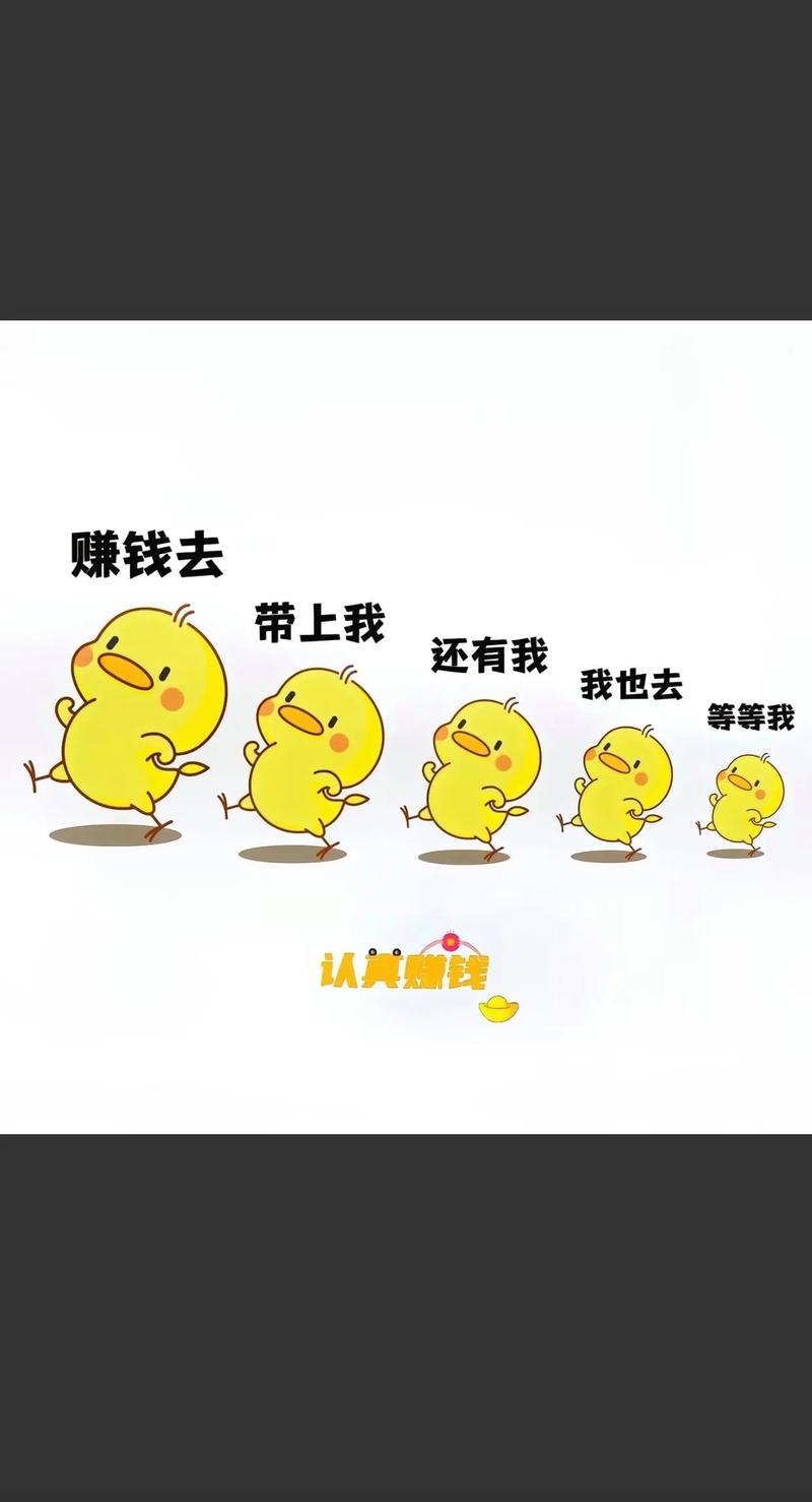 我的小猫赚钱