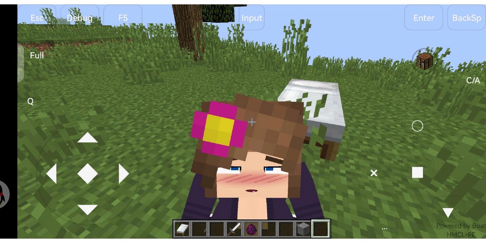 我的世界JAVA珍妮模组(JENNY MOD)缩略图