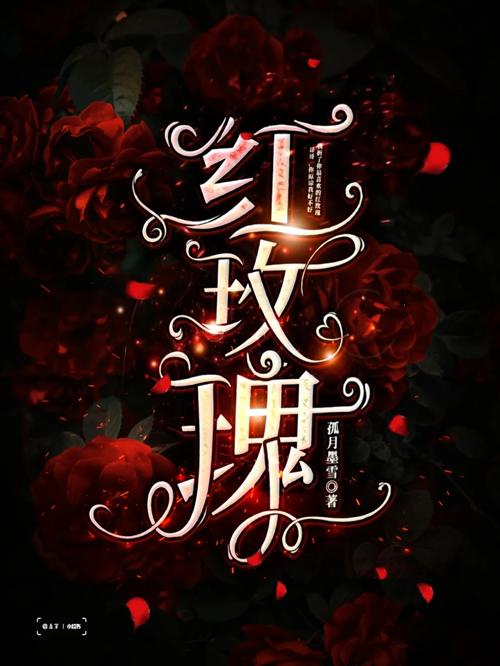 玫瑰小说