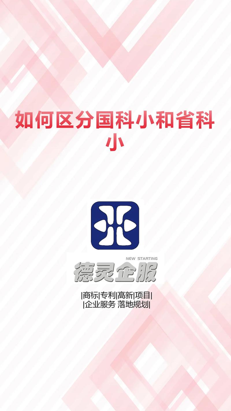 小科科视频