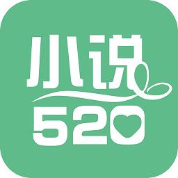 小说520