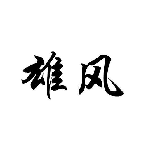 雄风小说网
