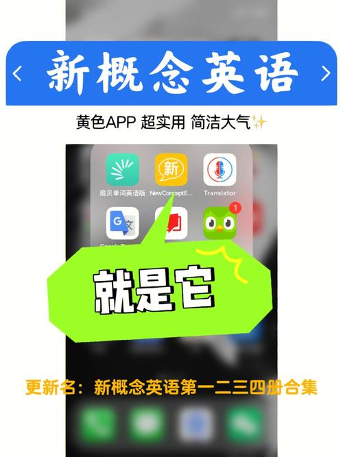 新概念英语点读app