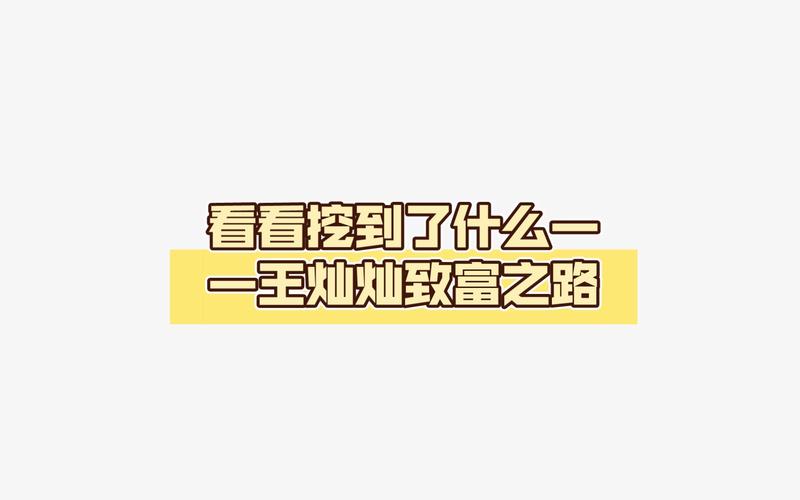 王灿灿的致富之路