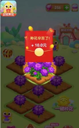 全民养花赚钱版正版