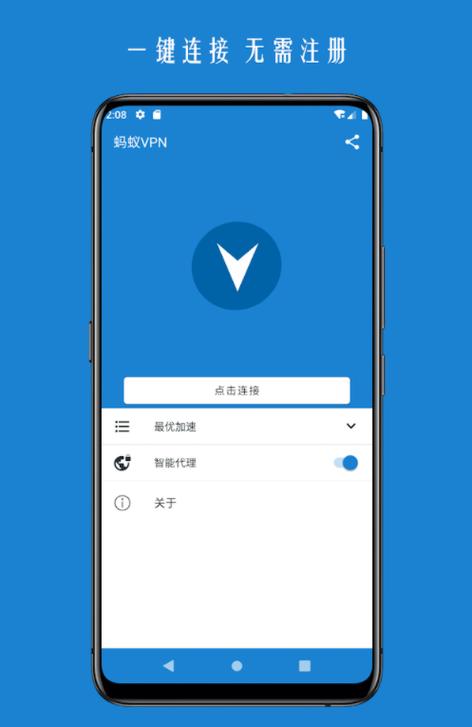 蚂蚁vp加速器1.0