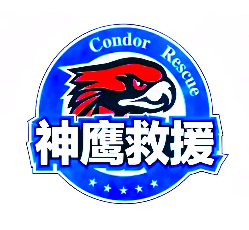 神鹰盒4.0