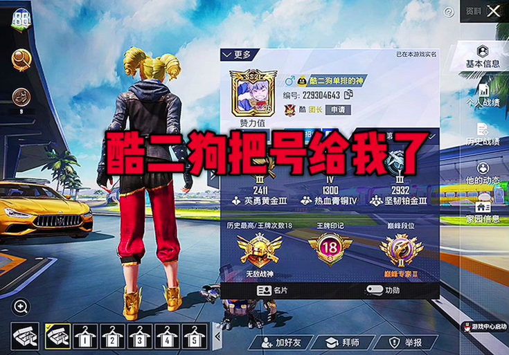酷二狗和平精英美化包v1.0