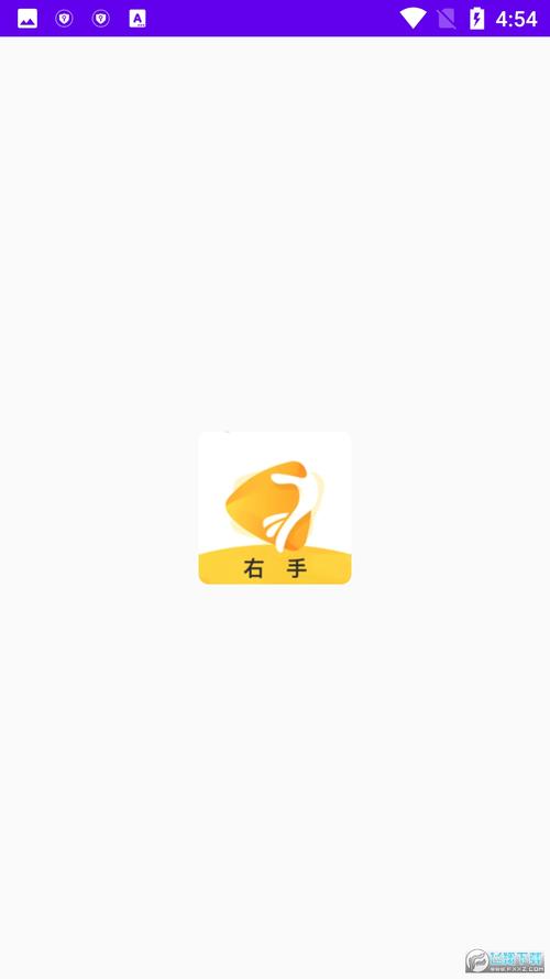 右手app软件官网版