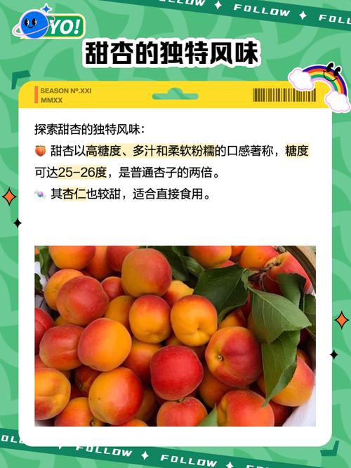 甜杏视频最新版