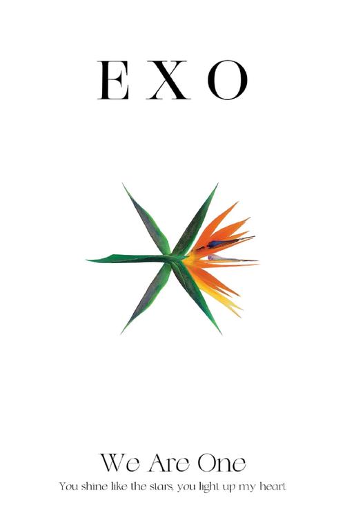 EXO小说加速永久