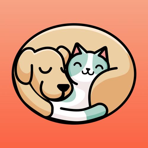 天天养猫猫