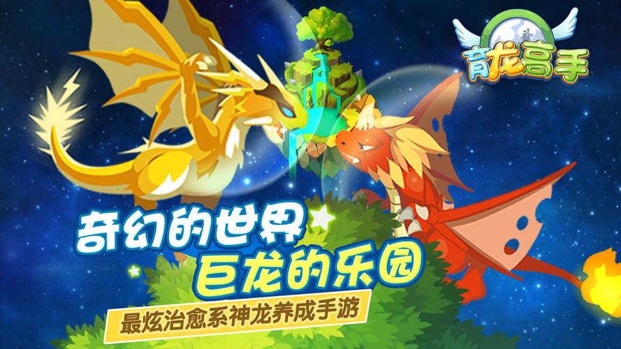 养龙高手