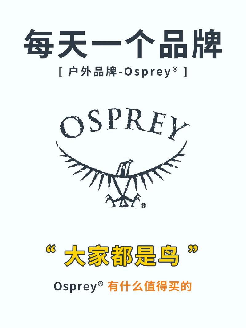 鱼鹰看广告v1.0