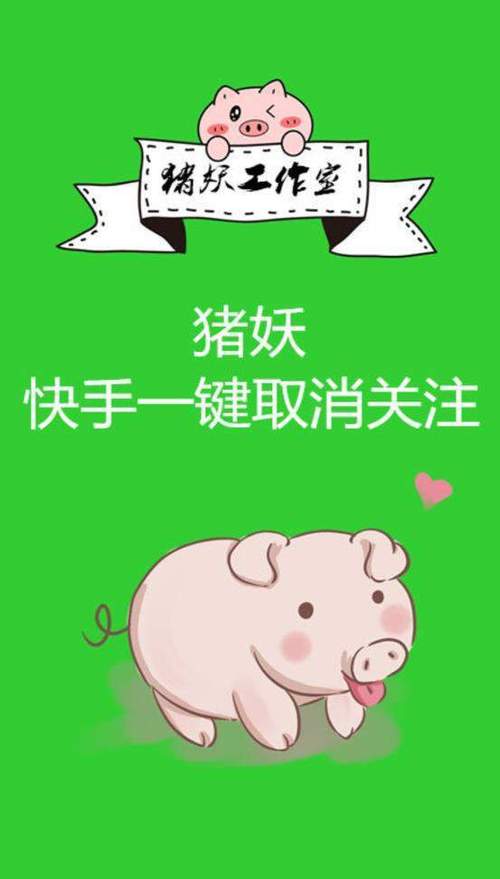 快手取关软件猪妖