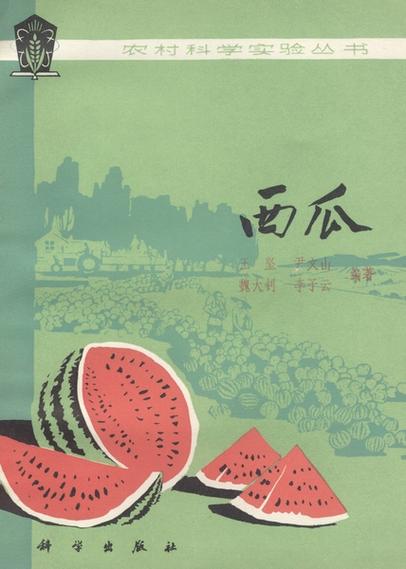西瓜免费小说手机版