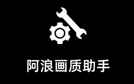 阿浪国际服画质助手v1.0