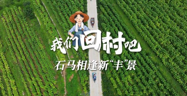 一起回农村
