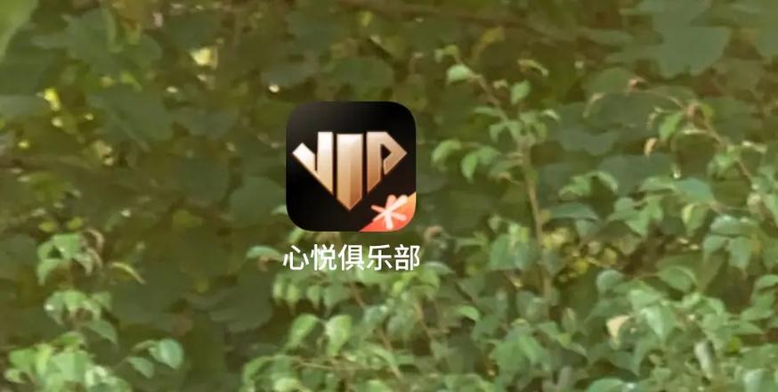 心悦科技平台赚钱图标