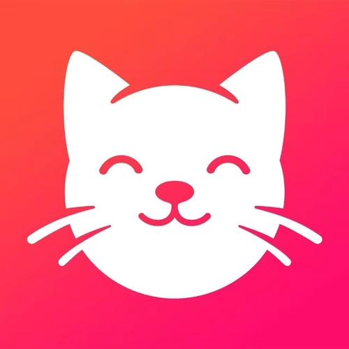 养猫联盟最新版