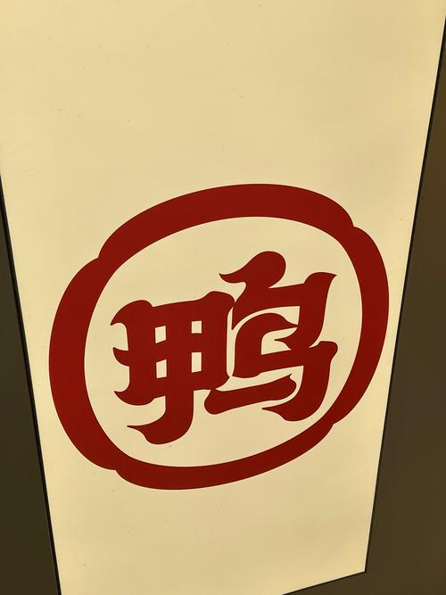 盐水鸭小说app手机版截图