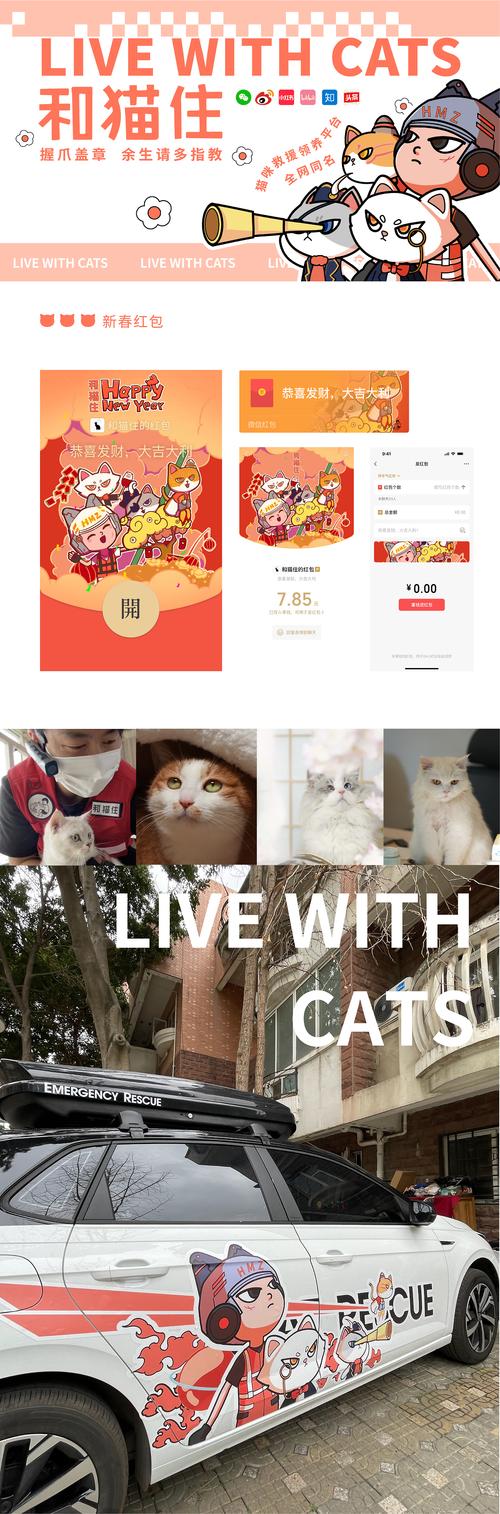 猫咪救援队红包版