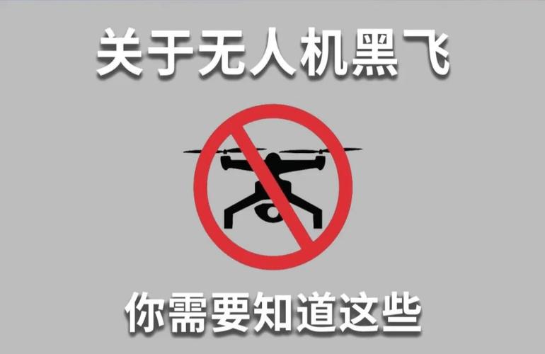 黑飞修改器