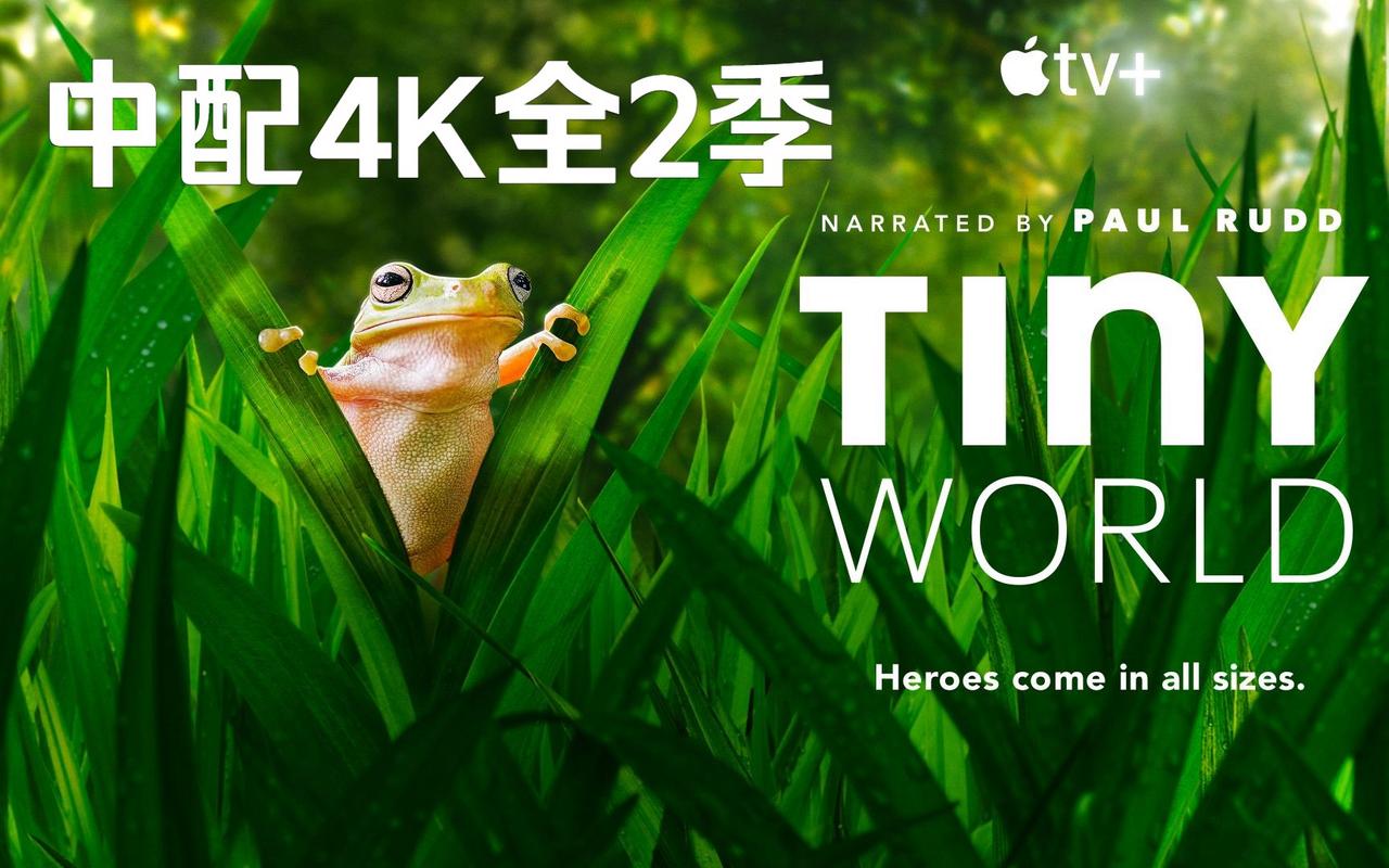 Tinyview日漫