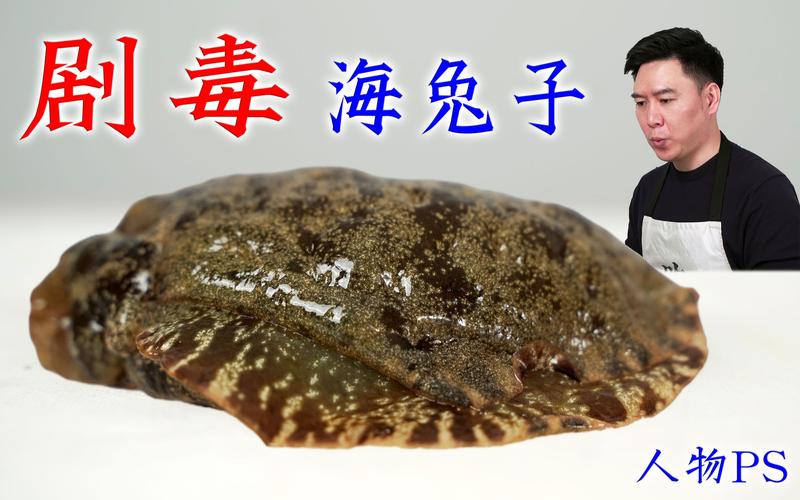 海兔资讯app