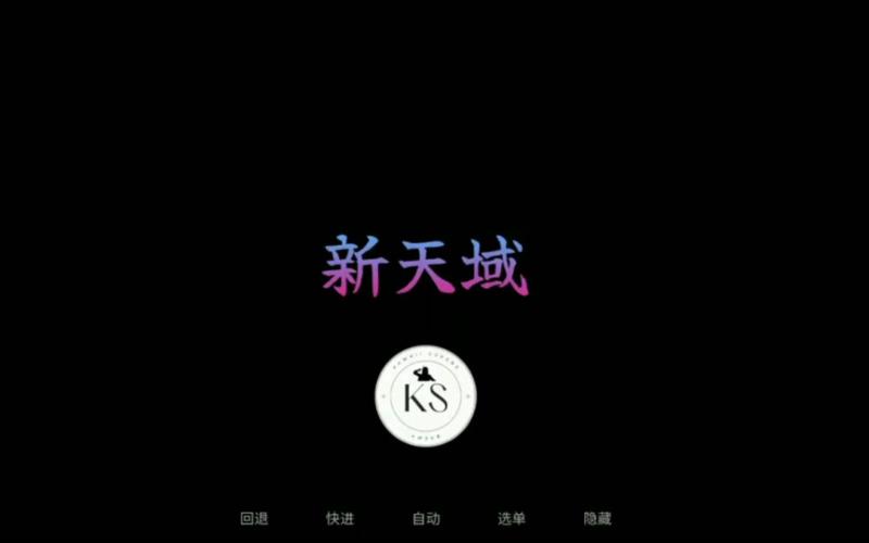 新天域安卓汉化版无广告安装