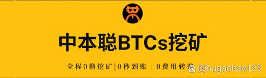 中本聪BTCS国际版截图