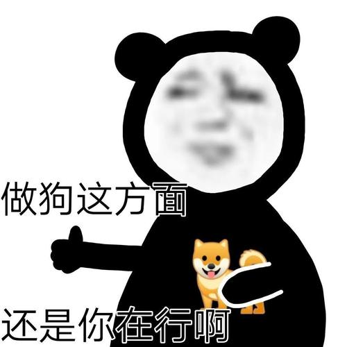 最强怼人专用表情包图片分享截图