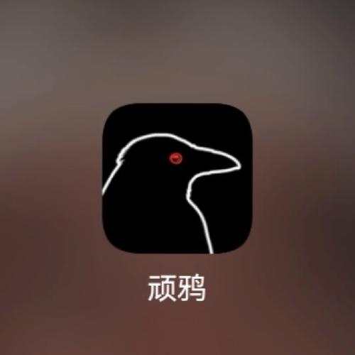 顽鸦app
