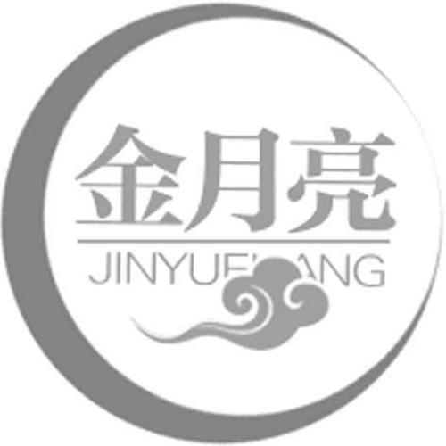 金月亮小说