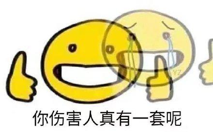 伤害人你真有一套表情包