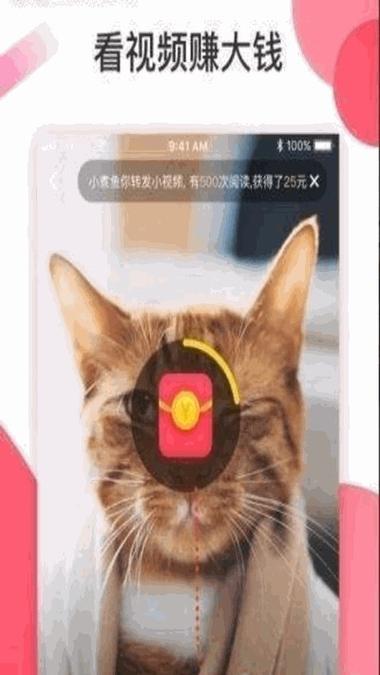 慈音短视频图标