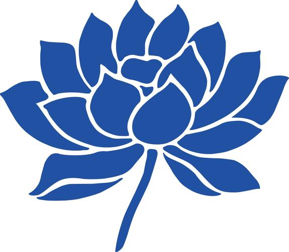 蓝莲花我爱你