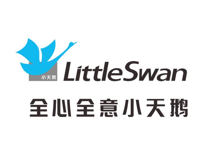 小天鹅一对一