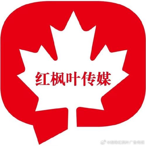 枫叶辅助2024年最新消息红色版