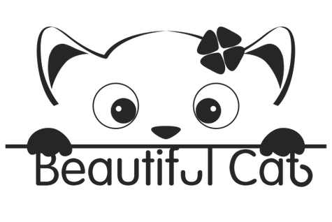 花猫说