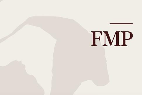 FMP助手(FMP Helper)