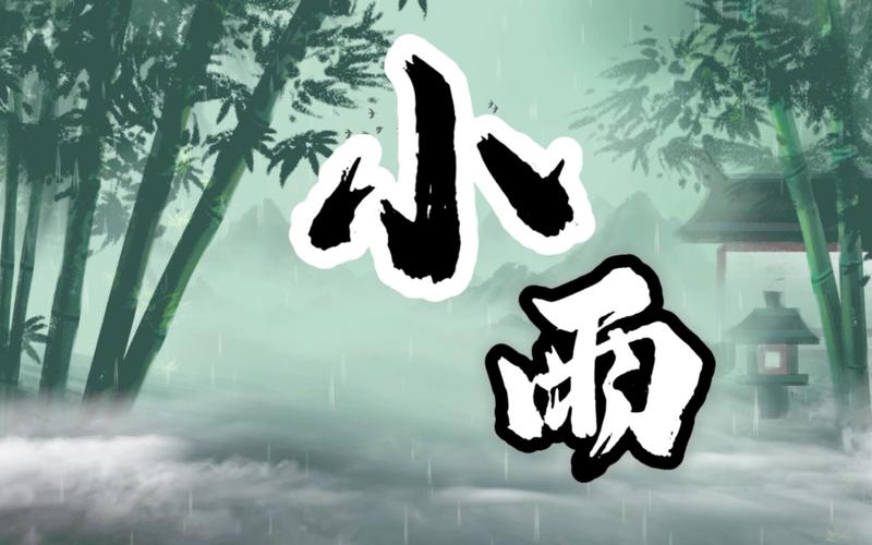 小雨动漫最新版图标