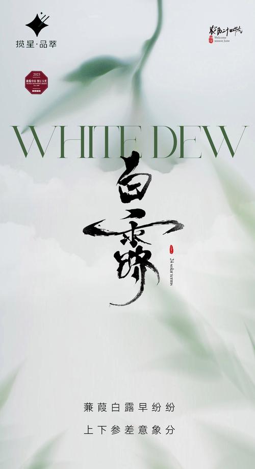 白露小说