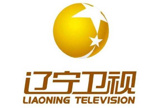卫星电视