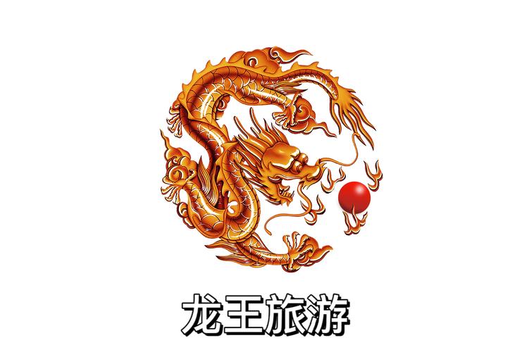 龙王4.5辅助器