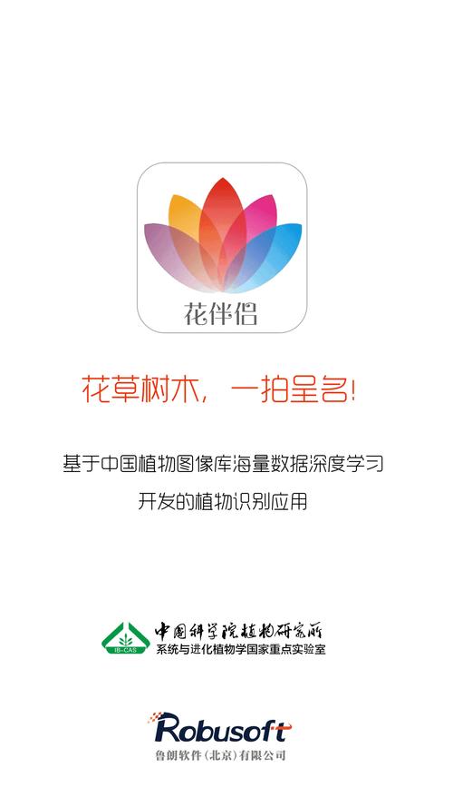 花伴交友