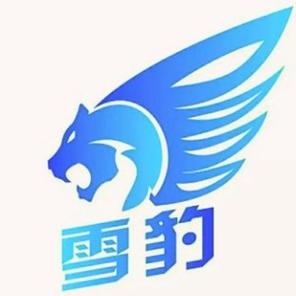 雪豹画质助手