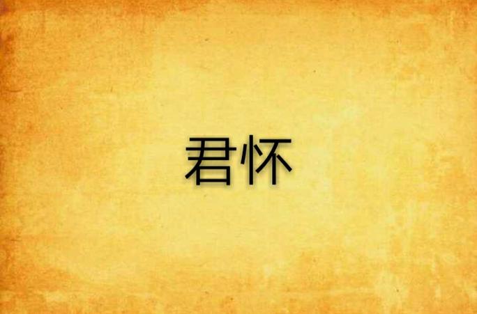 君怀小说截图