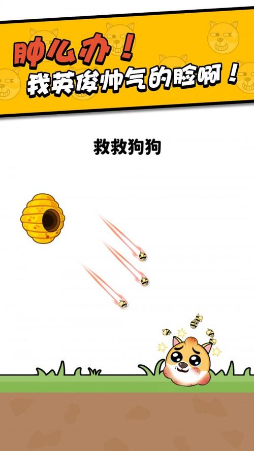 救救狗狗红包版截图